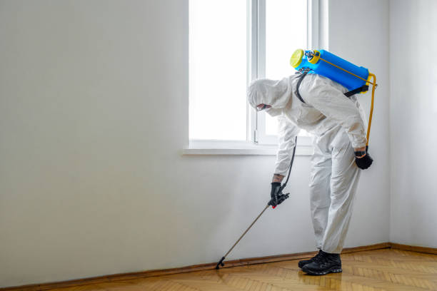 Best Residential Pest Control  in Queen Anne, MD